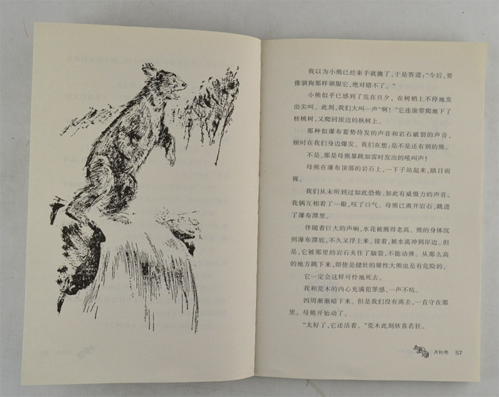 淘书团第3013期:椋鸠十动物小说全10册,椋鸠