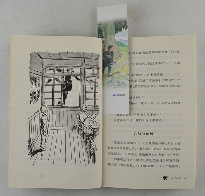 淘书团第3013期:椋鸠十动物小说全10册,椋鸠