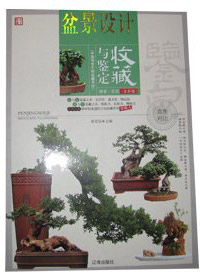中国传世文物收藏书坊--盆景设计收藏与鉴定