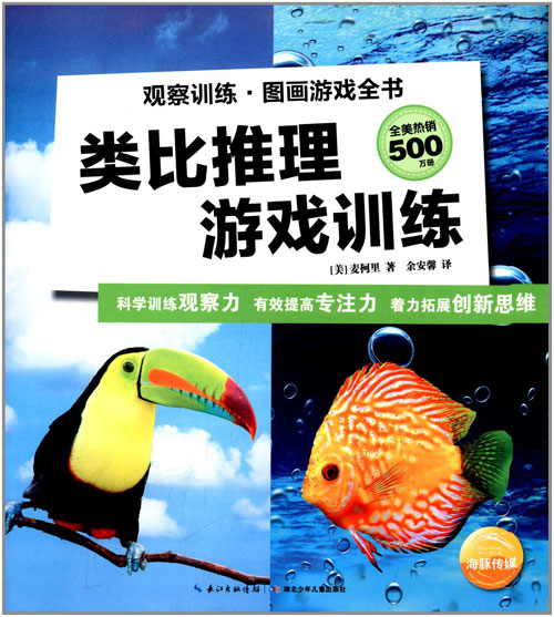 类比推理游戏训练-观察训练.图画游戏全书