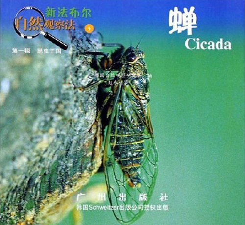 新法布尔自然观察法4第一辑昆虫王国-蝉