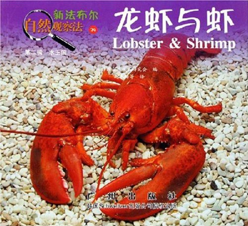 新法布尔自然观察法24第二辑水王国-龙虾与虾