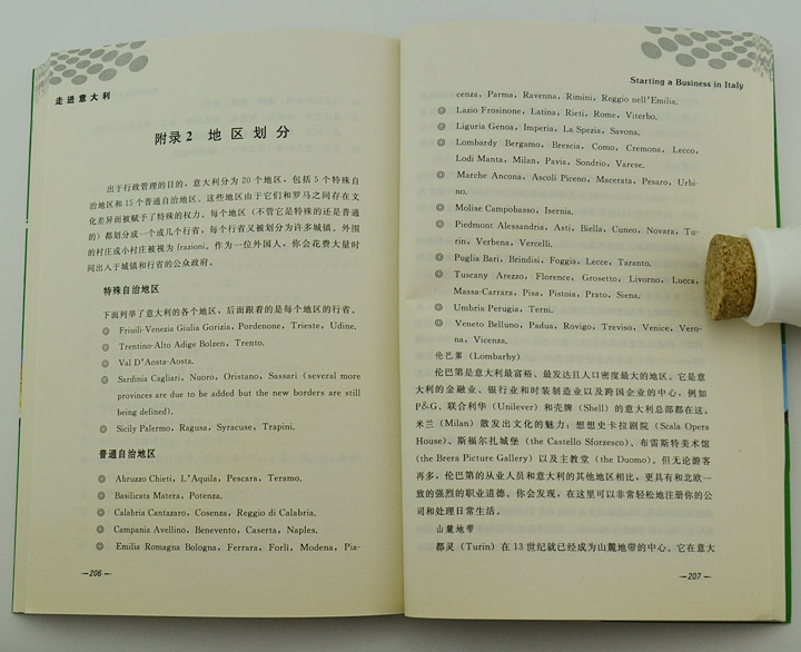 国资深企业培训专家撰写,详尽地介绍意大利、