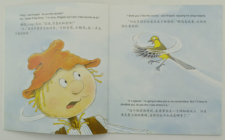 淘书团第3676期:美国引进绘本《稻草人和鸟儿