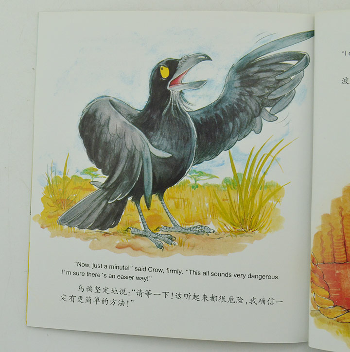 淘书团第3676期:美国引进绘本《稻草人和鸟儿