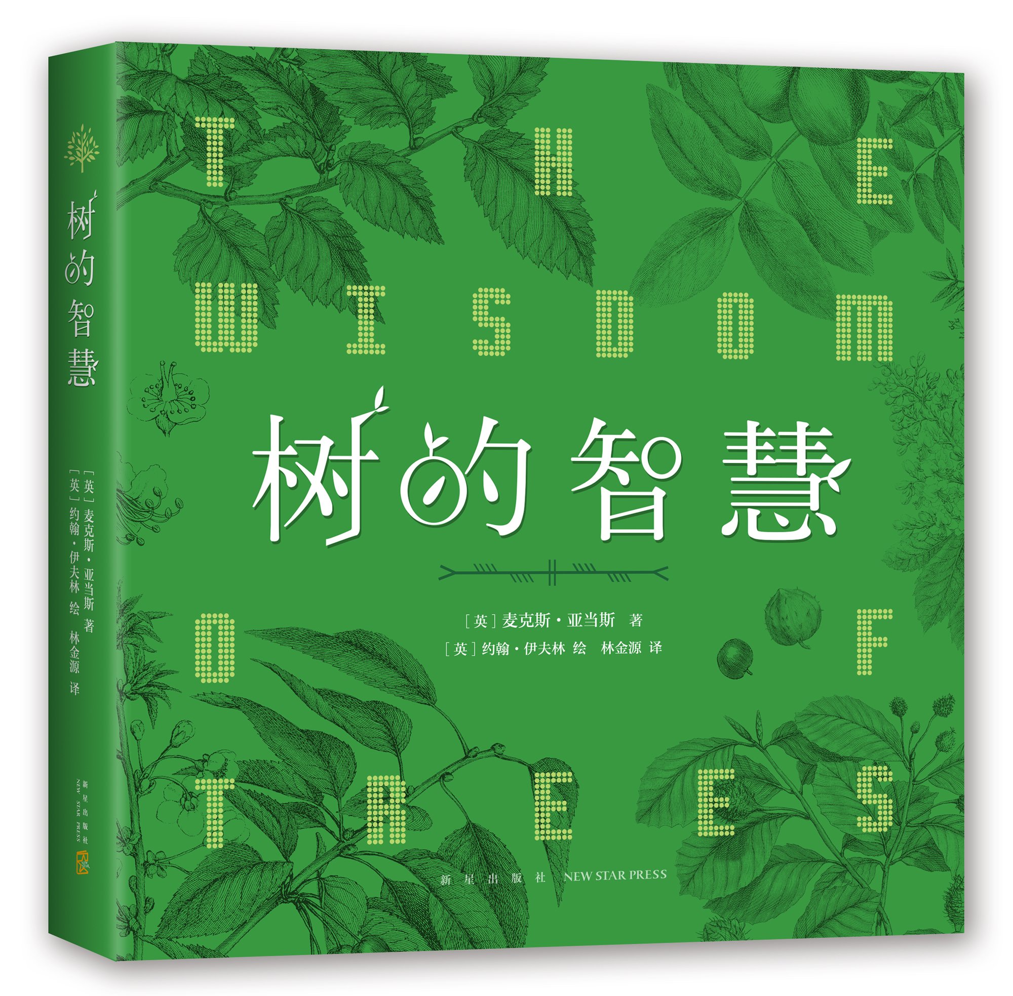 树的智慧