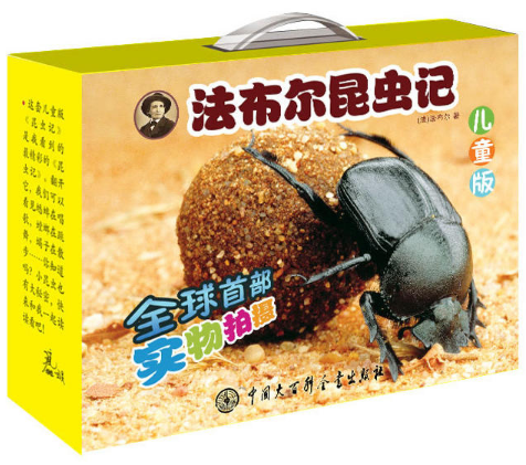 法布尔昆虫记:花金龟+蝴蝶+蝗虫+蟋蟀+蜥蜴+蝎子+蜘蛛等(套装共10册)(儿童版)