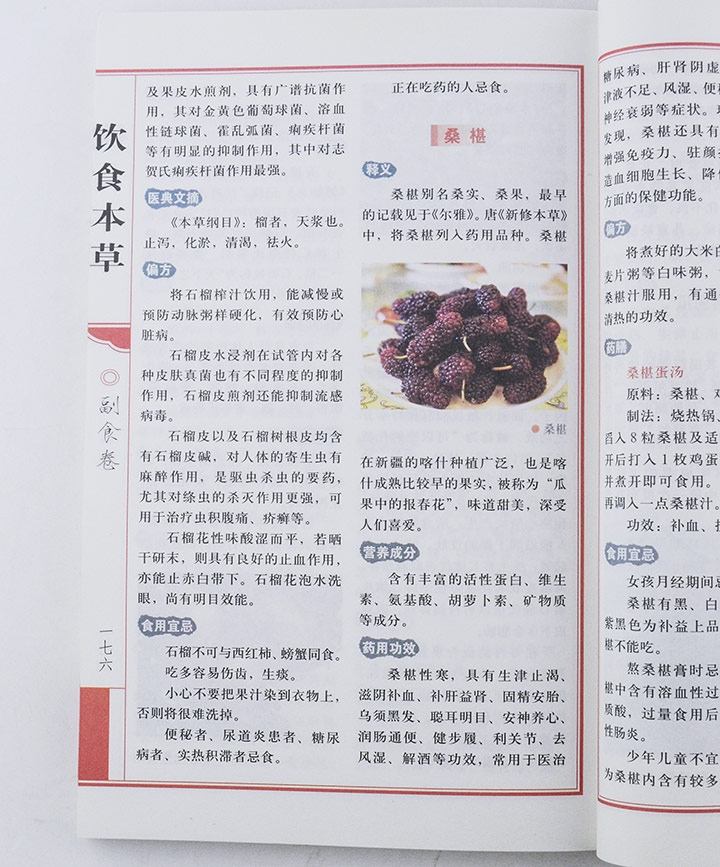 4355648tp09.jpg