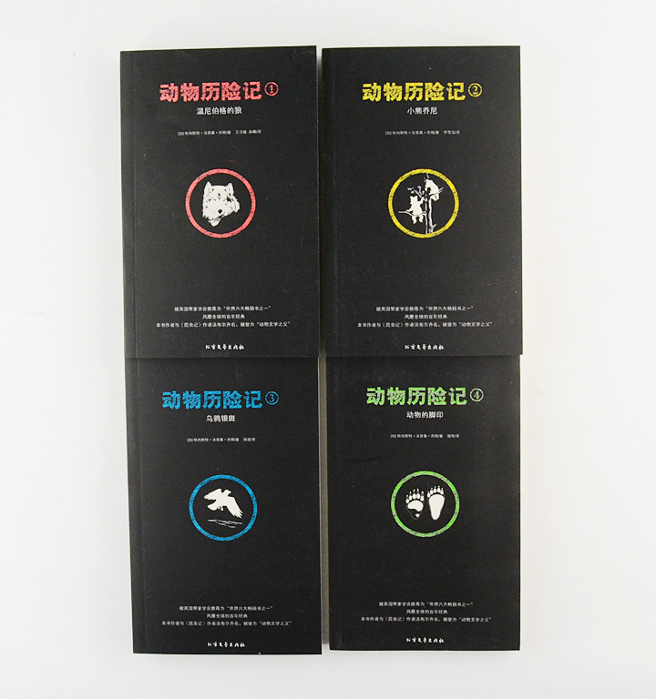 5384837ct04.jpg