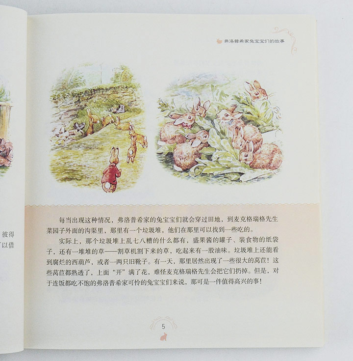 5527818tp11.jpg