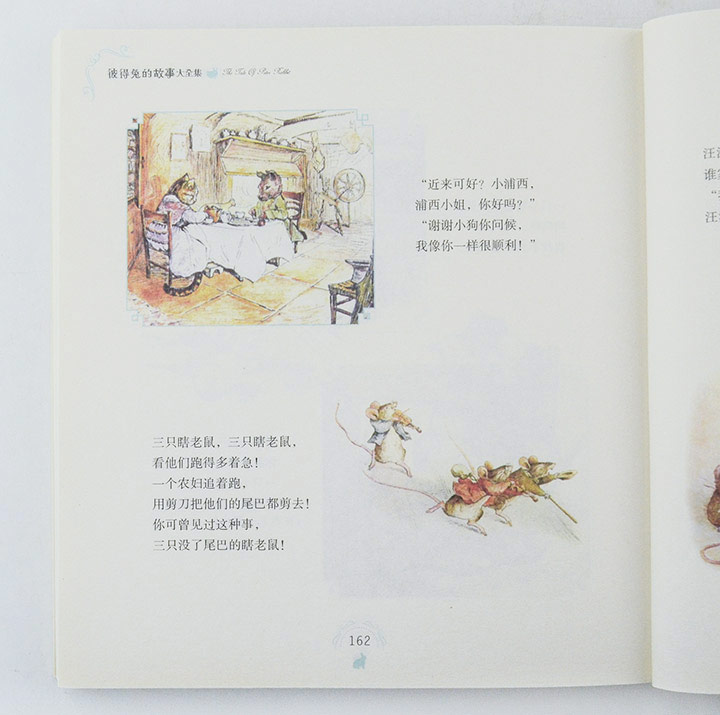 5527818tp12.jpg