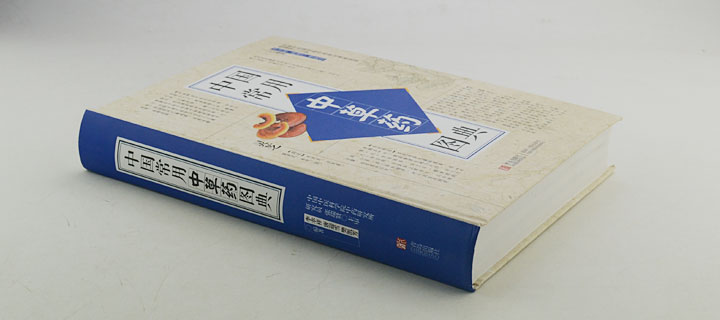 6276707ct02.jpg
