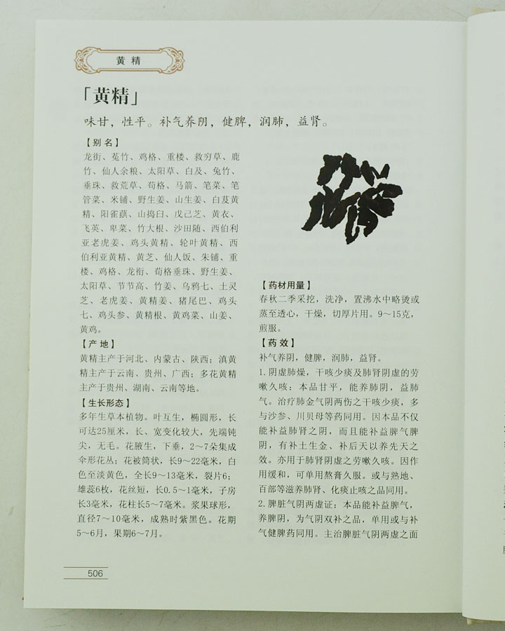 6276707tp08.jpg