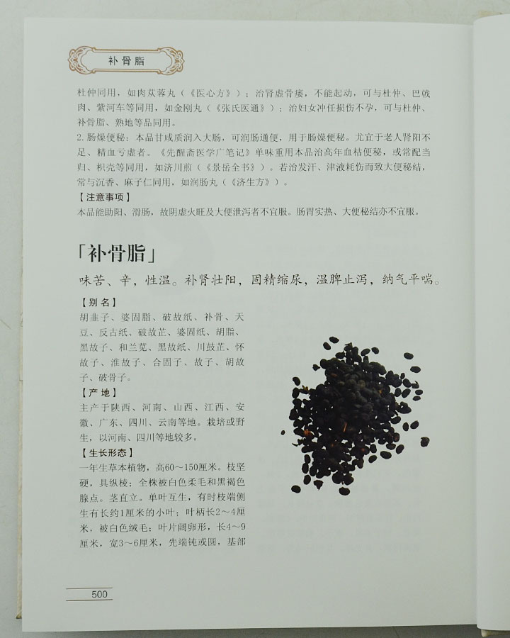 6276707tp10.jpg