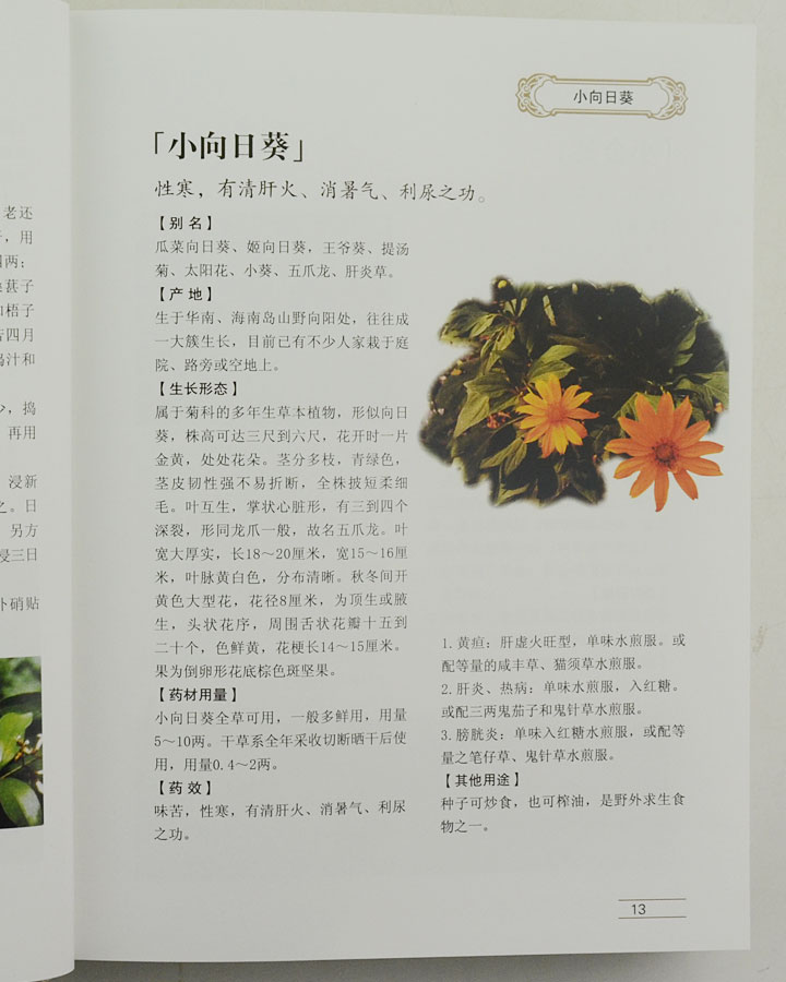 6276707tp11.jpg