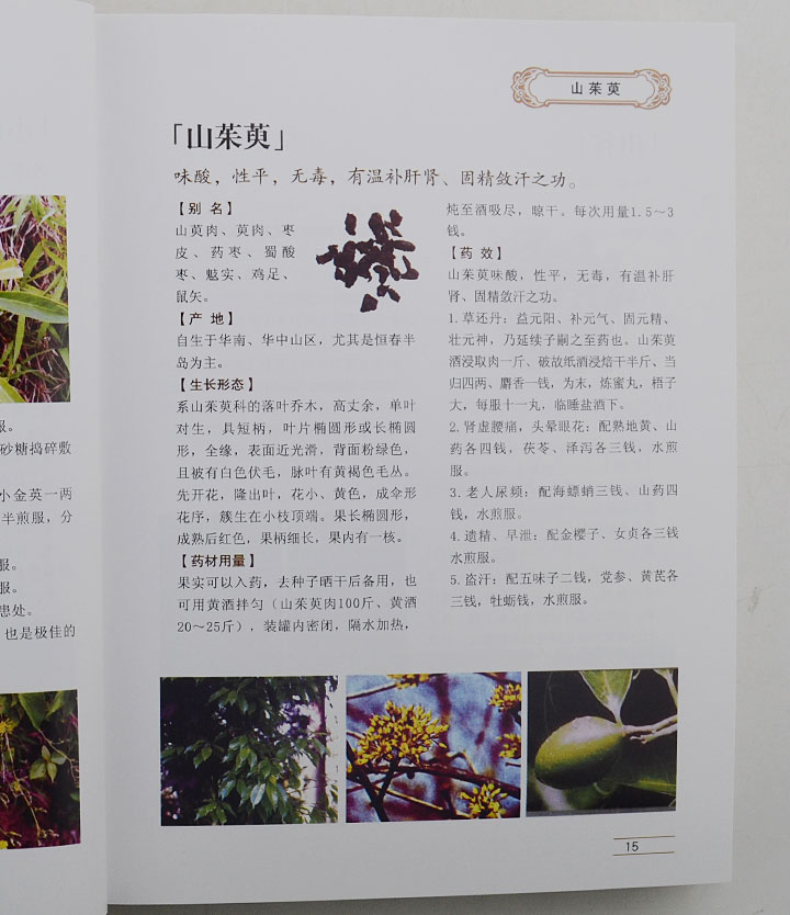 6276707tp12.jpg