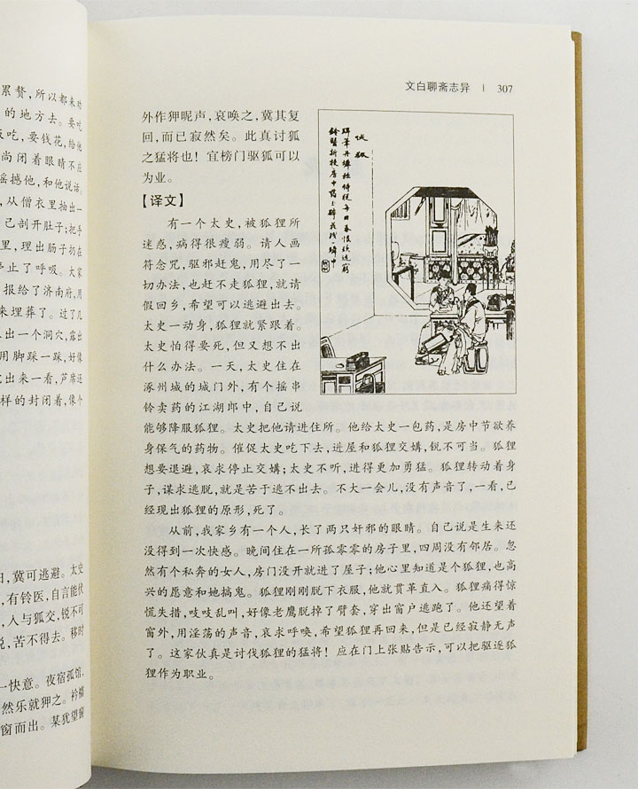 7397328tp10.jpg