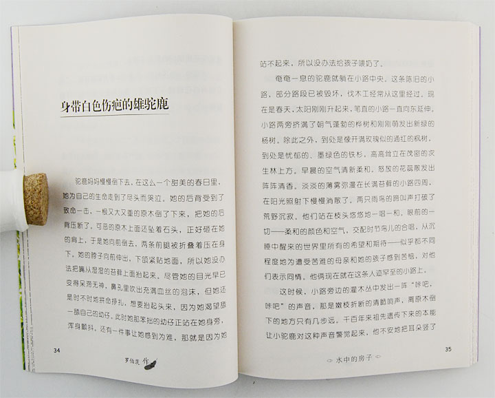7437810tp05.jpg