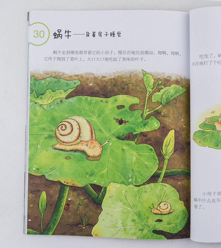 《动物的秘密:啊,我要洗澡》 I S B N : 9787536569911 出 版 社:四川少年儿童出版社 作 者:铁皮人科技/编著 魏雅婷/绘 出版时间:2015年5月 开 本:16开 页 数:64 定 价:16.8元 目 录 我们都爱洗澡 1.洗澡就是舔一舔 2.难洗的大尾巴 3.我的莲蓬头 4.生病的兔子 5.不洗澡就沉了 6.