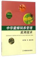 A۷B팍üg