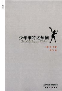 少年维特之烦恼