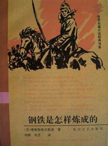 世界长篇小说经典书系:钢铁是怎样炼成的