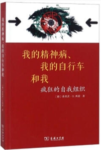 我的精神病我的自行车和我:疯狂的自我组织