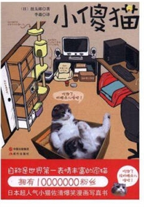 小傻猫