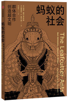 蚂蚁的社会:群体合作创造超文明