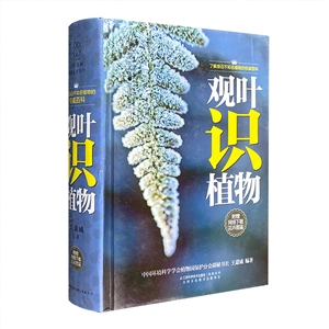 观叶识植物