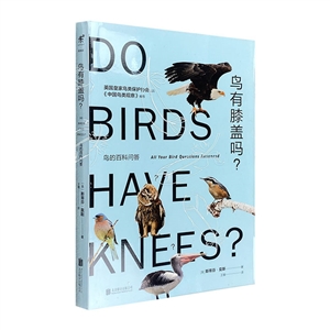 鸟的百科问答:鸟有膝盖吗?