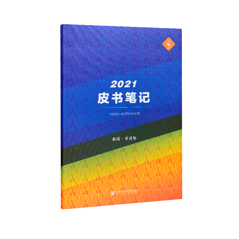 2021皮书笔记（特惠品）