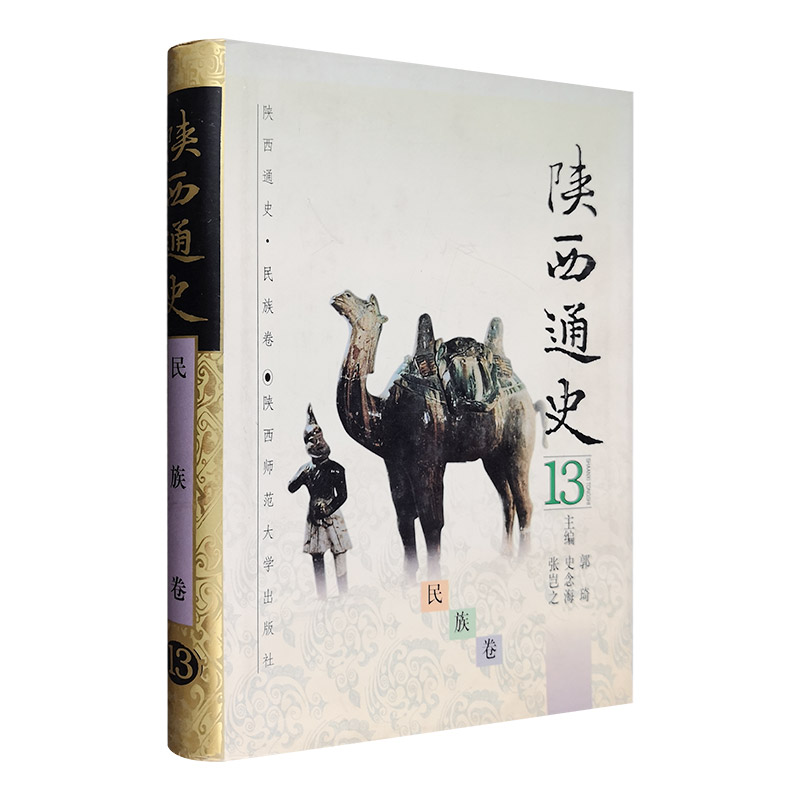 陕西通史13:民族卷