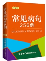 Ҋ256 ڴ