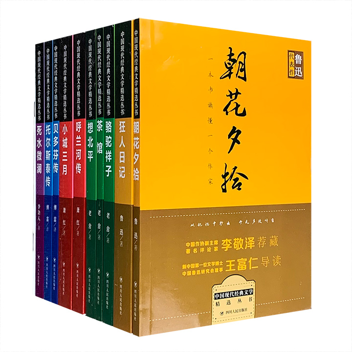 中国现代经典文学精选丛书(全10册)