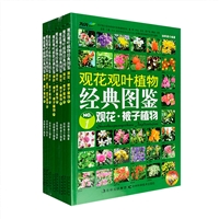 ʈD桤^^~ֲ｛Db{ȫ8}