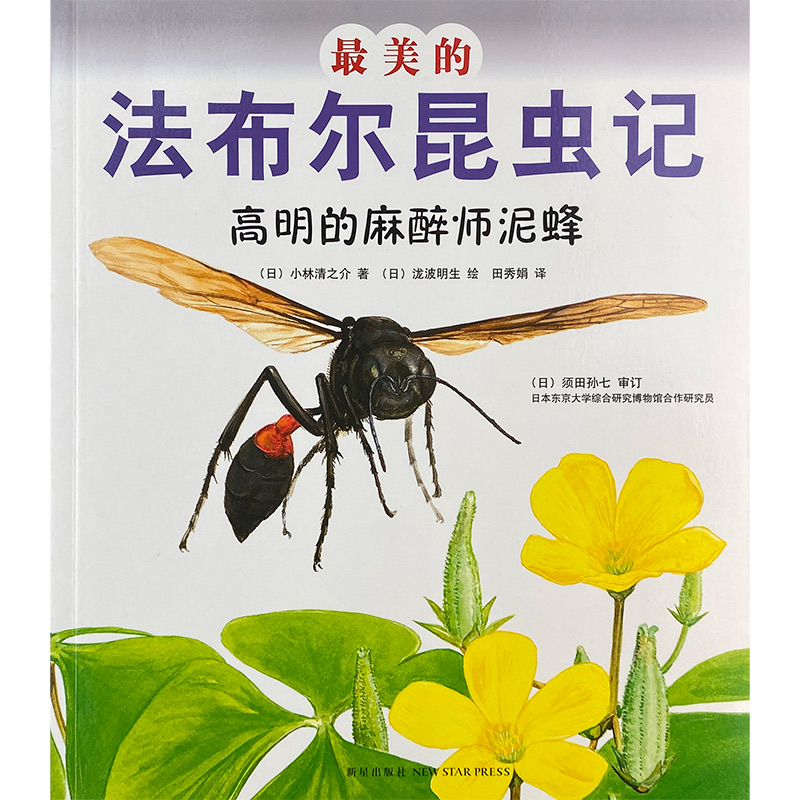 最美的法布尔昆虫记－高明的麻醉师泥蜂