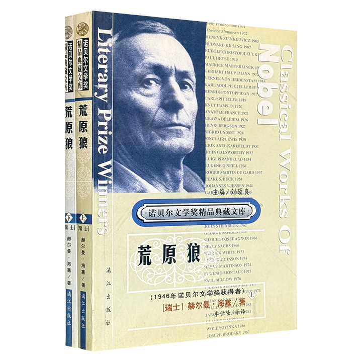 诺贝尔文学奖精品典藏文库-荒原狼(上下册)