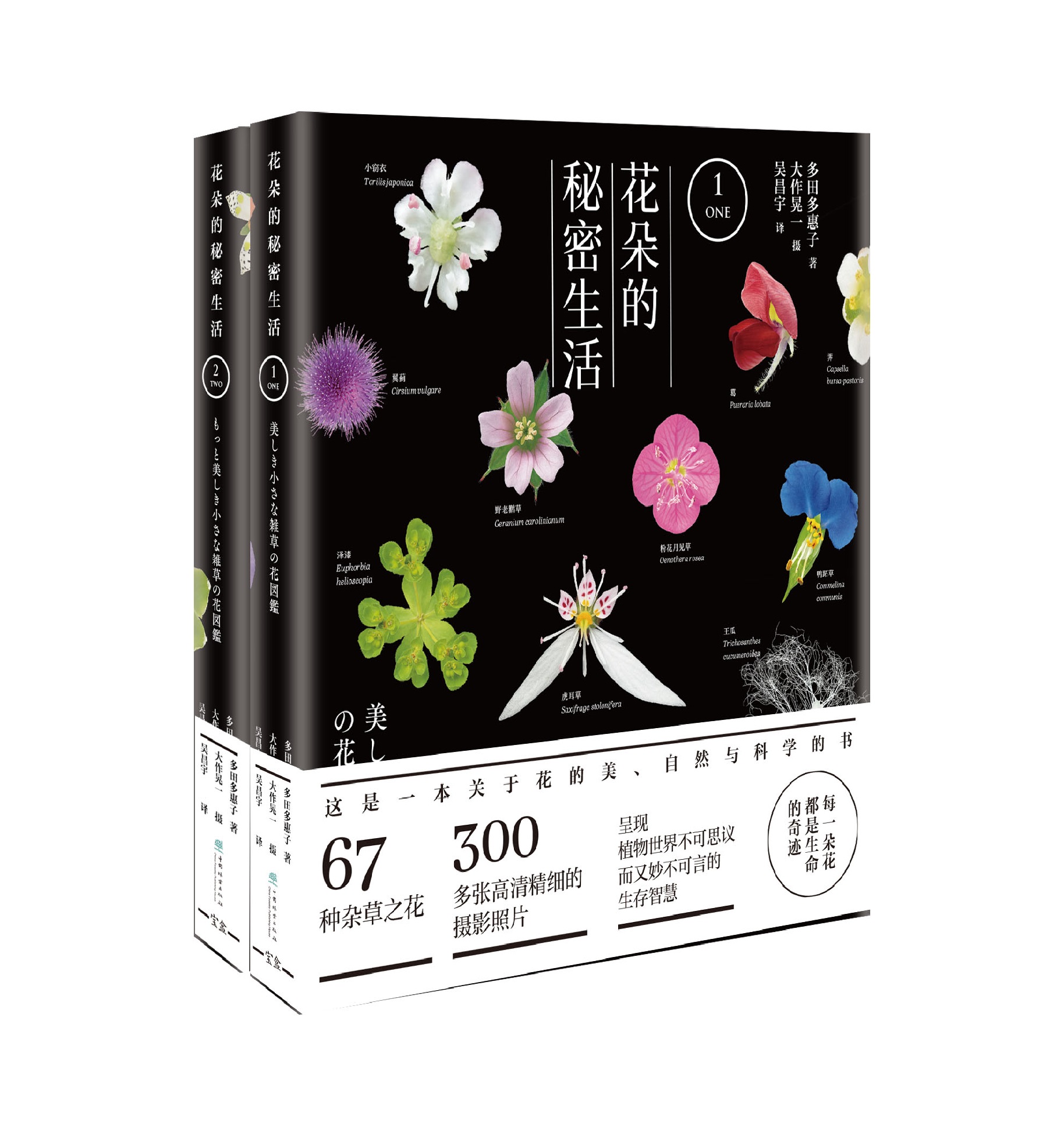 《花朵的秘密生活》全2册