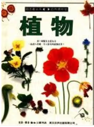 DK版目击者丛书:自然博物馆--植物(彩绘精装)