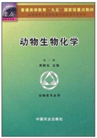 ﻯW 