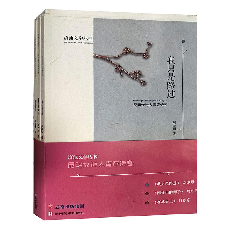 滇池文学丛书(全3册)