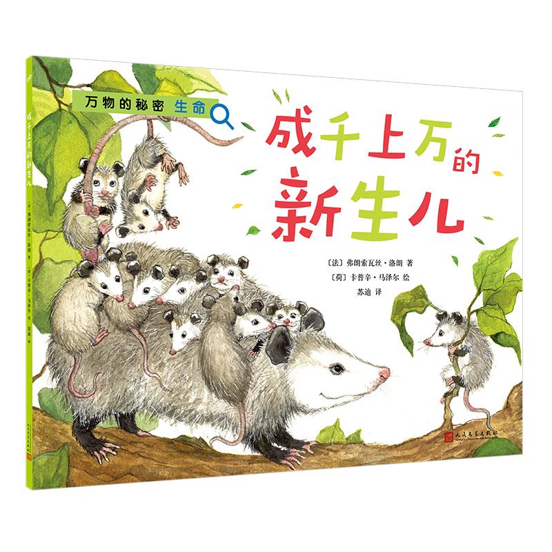 成千上万的新生儿(八品-九品)
