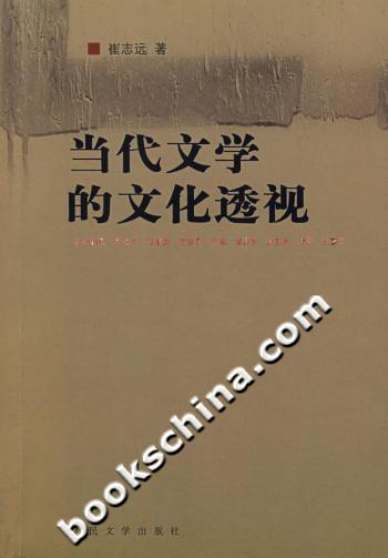 当代文学的文化透视
