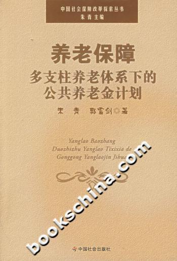 养老保障多支柱养老体系下的公共养老金计划