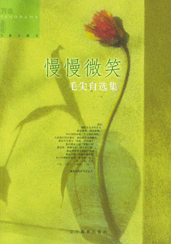 慢慢微笑-毛尖自选集