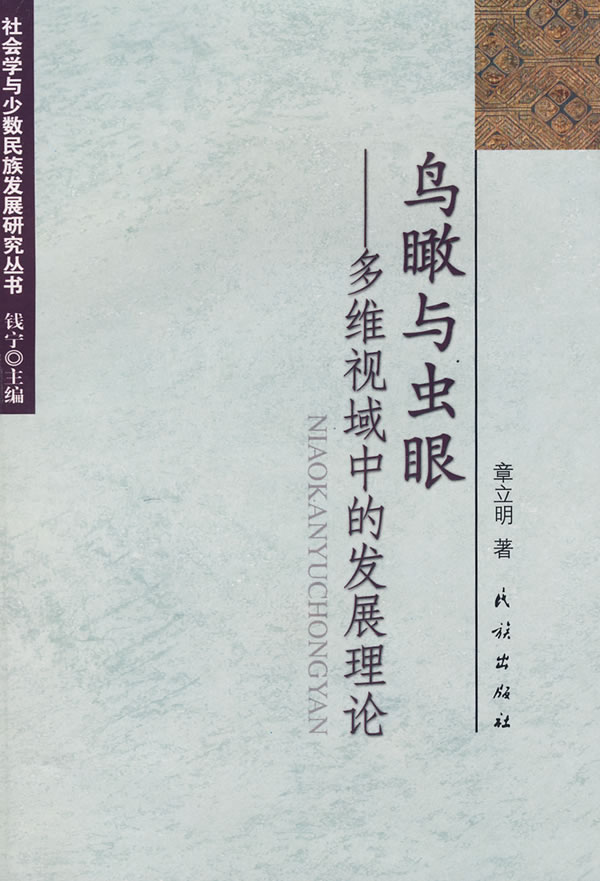鸟瞰与虫眼-多维视域中的发展理论