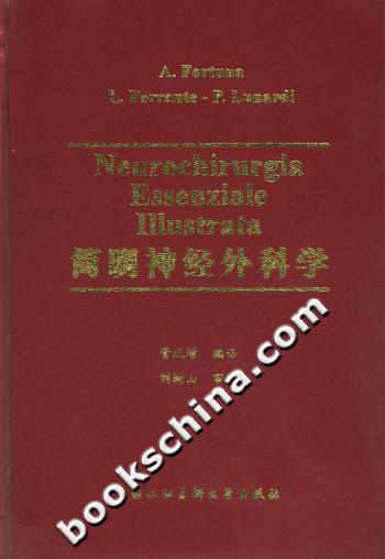 简明神经外科学