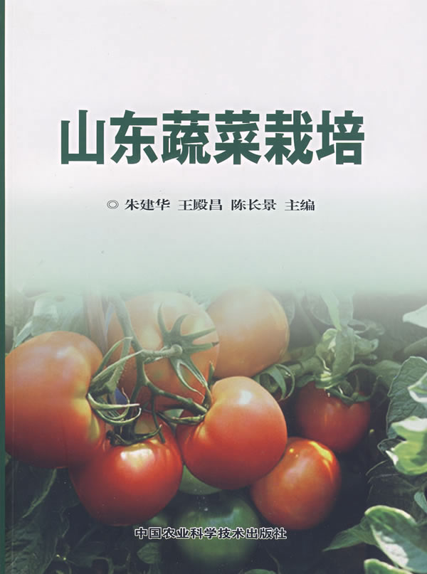 山东蔬菜栽培