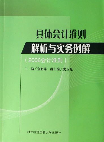 具体会计准则解析与实务例解2006会计准则